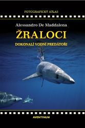 Žraloci, dokonalí vodní predátoři - Alessandro De Maddalena - Zvířata Žraloci, dokonalí vodní predátoři