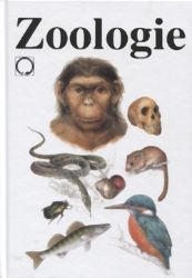 Zoologie Zoologie