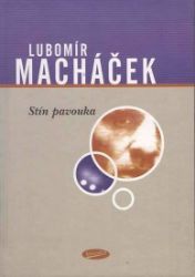 Stín pavouka