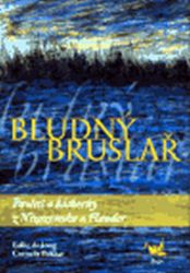 Bludný bruslař - kolektiv autorů,Eelke de Jong,Cornelis Bakker - Odborná a technická literatura Bludný bruslař