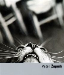 Peter Župník - Lucia L. Fišerová - Umění a architektura Peter Župník