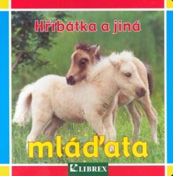 Hříbátka a jiná mláďata - leporelo - Leporela pro děti Hříbátka a jiná mláďata - leporelo