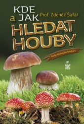 Kde a jak hledat houby - Rady zkušeného houbaře Kde a jak hledat houby - Rady zkušeného houbaře