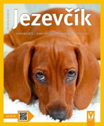 Jezevčík - Jak na to Jezevčík - Jak na to