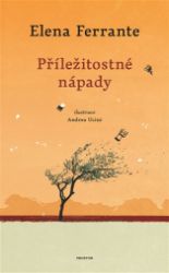 Příležitostné nápady - Elena Ferrante - Romány Příležitostné nápady