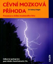 Cévní mozková příhoda - Valery L. Feigin - Medicína a lékařství Cévní mozková příhoda