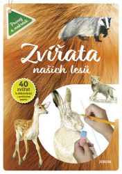 Zvířata našich lesů Zvířata našich lesů