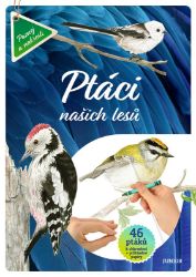 Ptáci našich lesů - 46 ptáků k obkreslení + průhledné papíry - Grażyna Maternicka - Kreativní knihy pro děti Ptáci našich lesů - 46 ptáků k obkreslení + průhledné papíry