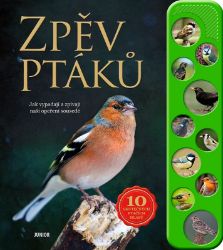 Zpěv ptáků Zpěv ptáků