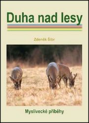 Duha nad lesy Duha nad lesy
