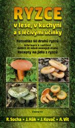 Ryzce v lese, v kuchyni a s léčivými účinky - Radomír Socha,Aleš Vít,Jiří Hák,Jiří Kovač - Zdravá výživa Ryzce v lese, v kuchyni a s léčivými účinky