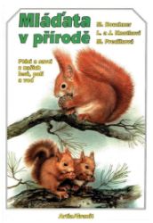 Mláďata v přírodě Mláďata v přírodě