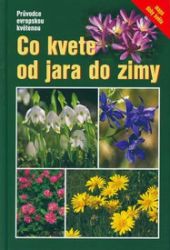 Co kvete od jara do zimy - Eva Maria Dreyer - Zahrada a pěstitelství Co kvete od jara do zimy