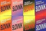 Slovník španělsko - český - Český jazyk pro 1. stupeň ZŠ Španělsko - Český slovník