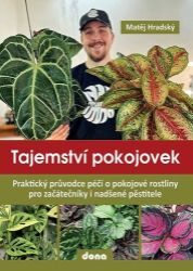 Tajemství pokojovek - Praktický průvodce péčí o pokojové rostliny pro začátečníky i nadšen