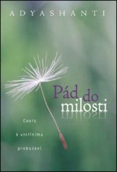 Pád do milosti - Cesta k vnitřnímu probuzení