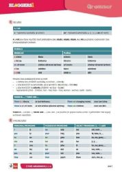 Bloggers 1 (A1.1) – gramatický přehled (leporelo) - Anglická gramatika a slovní zásoba Bloggers 1 (A1.1) – gramatický přehled (leporelo)