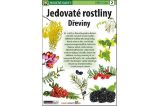 Jedovaté rostliny Dřeviny - Naučná karta Jedovaté rostliny Dřeviny - Naučná karta