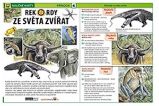 Rekordy ze světa zvířat - Naučné karty Rekordy ze světa zvířat - Naučné karty