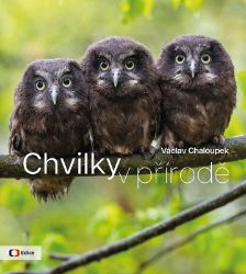 Chvilky v přírodě Chvilky v přírodě