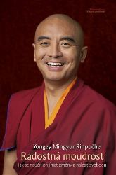 Radostná moudrost - Eric Swanson,Yongey Mingyur Rinpoche - Esoterika a duchovno Radostná moudrost