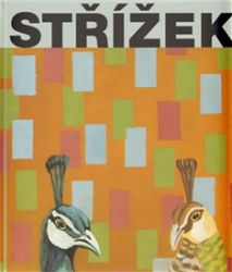 Střížek - Martin Dostál - Umění a architektura Střížek