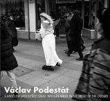 Václav Podestát - Václav Podestát,Vladimír Birgus - Umění a architektura Václav Podestát
