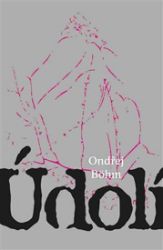 Údolí - Ondřej Böhm - Česká a slovenská beletrie Údolí