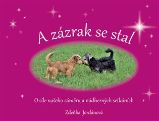 A zázrak se stal - Zdeňka Jordánová - Česká a slovenská beletrie A zázrak se stal