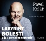 CD Labyrint bolesti - Pavel Kolář - Audioknihy - populárně naučná CD Labyrint bolesti () - audiokniha