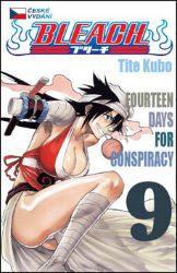 Bleach 9