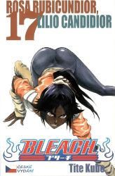 Bleach 17