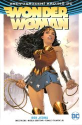 Wonder Woman 2 - Rok jedna Wonder Woman 2 - Rok jedna