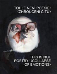 Tohle není poesie! - Martin Gerboc - Umění a architektura Tohle není poesie!