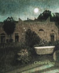 Alžběta Skálová: Chůze v šeru a jiné příběhy - Alžběta Skálová,Jan Rous - Umění a architektura Alžběta Skálová: Chůze v šeru a jiné příběhy