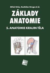 Základy anatomie 5 - Anatomie krajin těla Základy anatomie 5 - Anatomie krajin těla