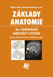Základy anatomie 4a - Centrální nervový systém Základy anatomie 4a - Centrální nervový systém
