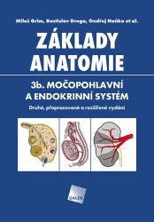 Základy anatomie. 3b - Močopohlavní a endokrinní systém Základy anatomie. 3b - Močopohlavní a endokrinní systém