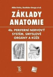 Základy anatomie 4b - Periferní nervový systém, smyslové orgány a kůže Základy anatomie 4b - Periferní nervový systém, smyslové orgány a kůže
