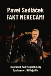 Fakt nekecám! - Rock’n’roll, holky a duch doby - Jiří Mejstřík,Pavel Sedláček - Zpěváci a zpěvačky Fakt nekecám!