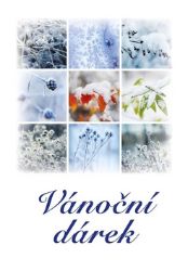 Vánoční dárek - Soubor povídek - Česká a slovenská beletrie Vánoční dárek - Soubor povídek