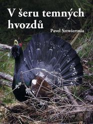 V šeru temných hvozdů V šeru temných hvozdů
