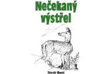 Nečekaný výstřel - Zdeněk Hlaváč - Česká a slovenská beletrie Nečekaný výstřel