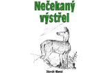 Nečekaný výstřel - Zdeněk Hlaváč - Česká a slovenská beletrie Nečekaný výstřel