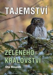 Tajemství zeleného království - Ota Bouzek - Česká a slovenská beletrie Tajemství zeleného království
