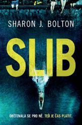 Slib - Sharon J. Bolton - Mysteriózní horory Slib