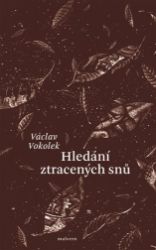 Hledání ztracených snů Hledání ztracených snů