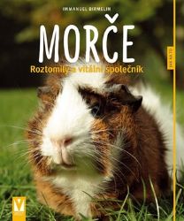 Morče - Roztomilý a vitální společník - Immanuel Birmelin - Zvířata Morče - Roztomilý a vitální společník