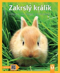 Zakrslý králík: Správná péče, rady odborníků, také pro začátečníky - Jak na to