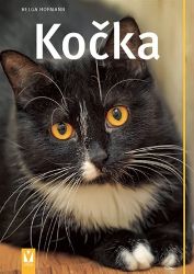 Kočka - Helga Hofmann,Helena Hofmannová - Kočky Kočka